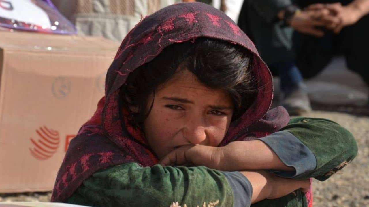 India-Afghanistan relation: খাদ্যসঙ্কট চরমে, দ্রুতই আফগানিস্তান রওনা দেবে ভারতে পাঠানো ৫০ মেট্রিকটন গম