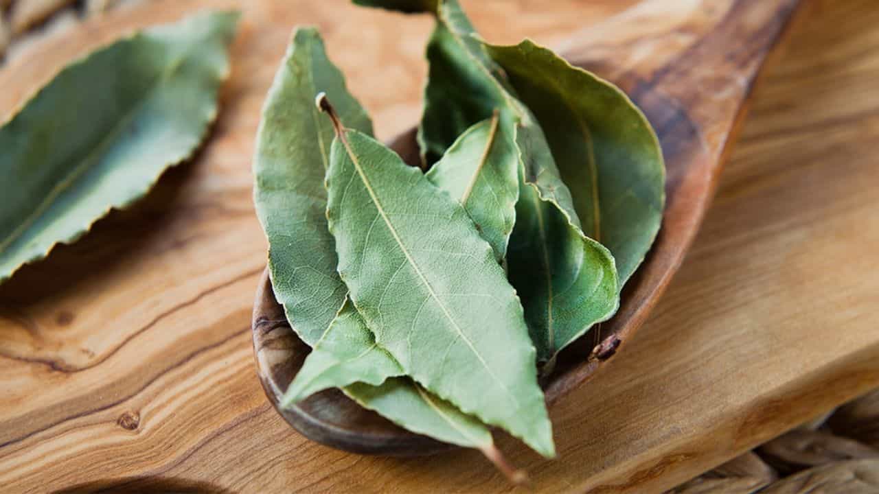 Skin Care Tips: ভিটামিন সি'র পাওয়ার হাউজ তেজপাতা! তাহলে কি তেজপাতার ফেসপ্যাক ত্বকের জন্য ভাল? Skin Care Tips: ভিটামিন সি'র পাওয়ার হাউজ তেজপাতা! তাহলে কি তেজপাতার ফেসপ্যাক ত্বকের জন্য ভাল?