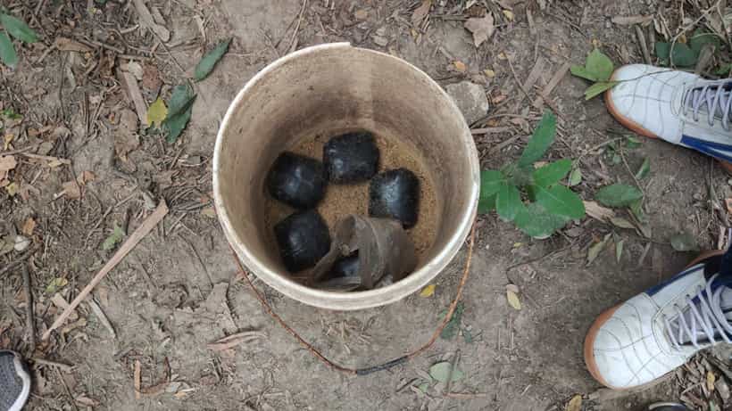 Bomb Recovered: ফের শাসন থেকে বোমা উদ্ধার, এলাকায় চলছে অভিযান