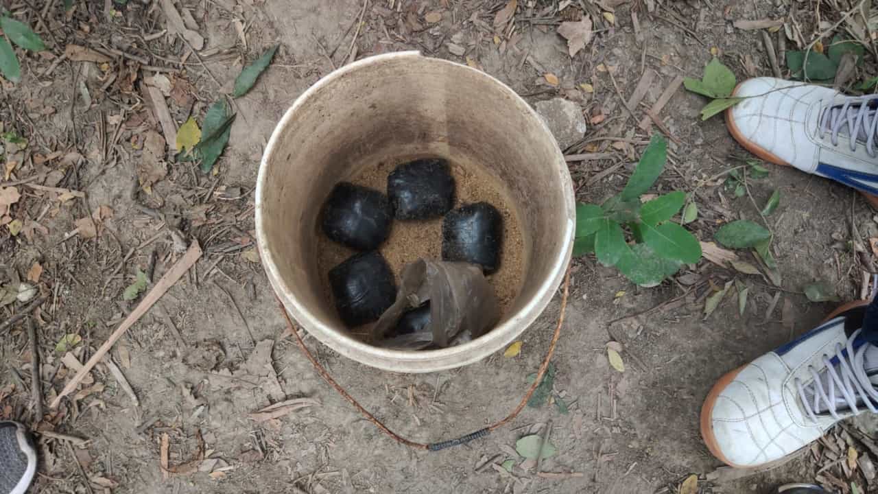 Bomb Recovered: ফের শাসন থেকে বোমা উদ্ধার, এলাকায় চলছে অভিযান