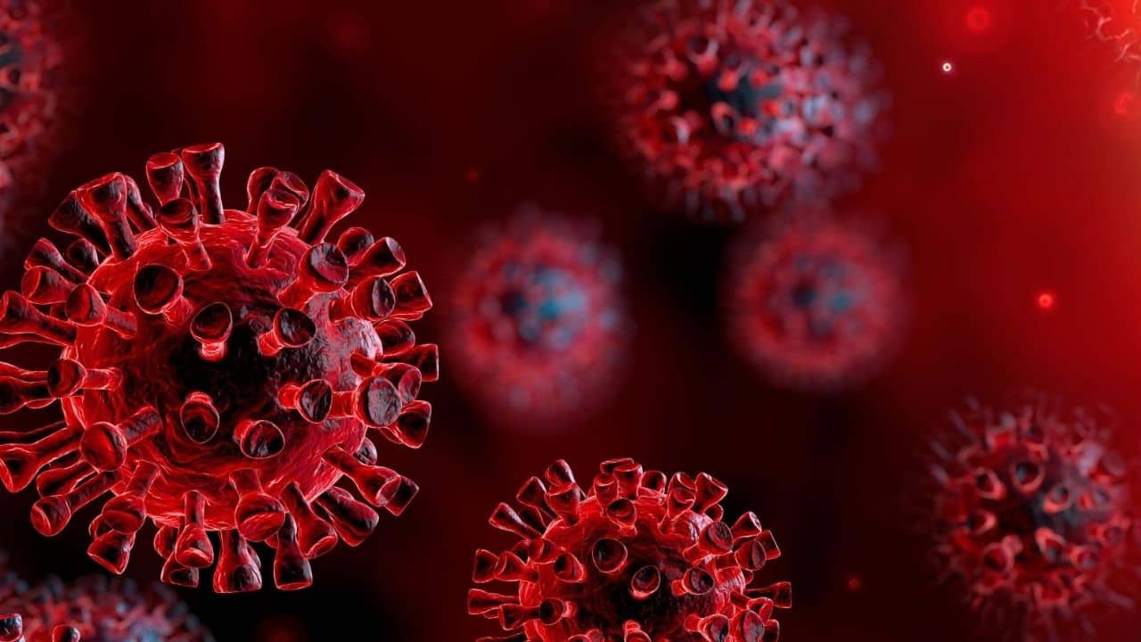 COVID-19: করোনা থেকে সেরে ওঠার সময় স্বাস্থ্যের উন্নতিতে ডায়েটে অবশ্য়ই রাখুন এই ৫ ধরণের খাবার!