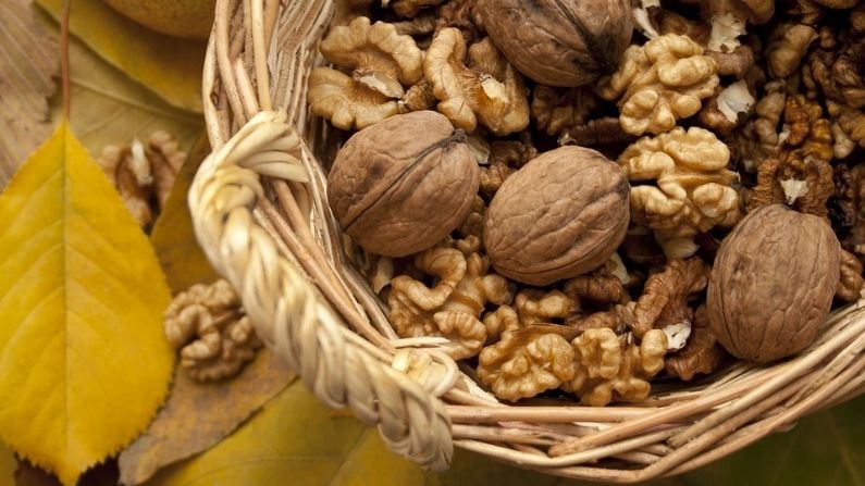 পিনাট, কাজু, আমন্ড, ওয়ালনাটের মতো বাদাম এবং কুমড়া, শিয়া, ফ্ল্যাক্স এবং সূর্যমুখীর বীজের মতো খাবার প্রোটিনের অনবদ্য উৎস। তবে এই বীজগুলো গরম করবেন না বা রোস্ট করবেন না।