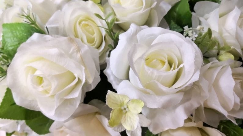 সাদা গোলাপ বিশুদ্ধতার প্রতিনিধিত্ব করে। এটি শান্তির চিহ্ন হিসাবে বিবেচিত হয় এবং দীর্ঘকাল সম্পর্ক বজায় রাখার প্রতিশ্রুতি দেয়। আপনি যদি কাউকে খুব বেশি ভালবাসেন, তবে আপনি তাকে লাল এবং সাদা গোলাপের তোড়াও দিতে পারেন।