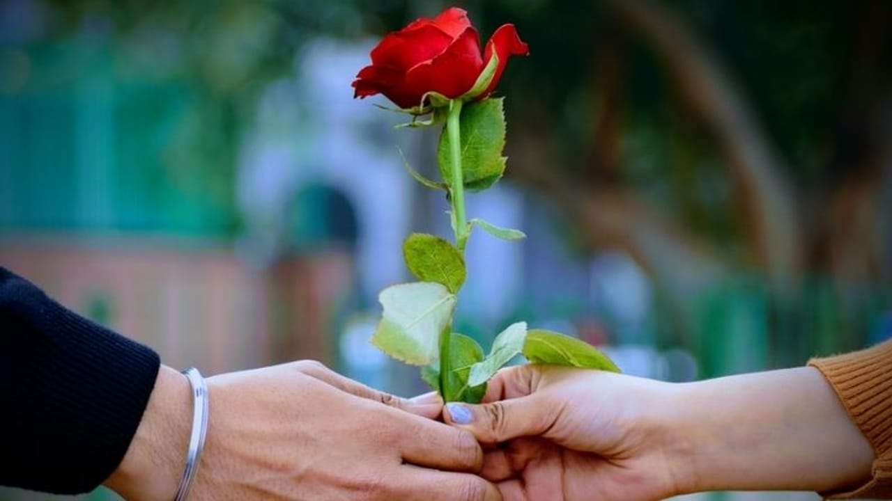 আপনি যদি কাউকে সত্যিই ভালবাসেন এবং তাঁদের কাছে আপনার অনুভূতি প্রকাশ করতে চান, তাহলে তাঁকে একটি লাল গোলাপ দিন। লাল গোলাপকে ভালবাসার প্রতীক মনে করা হয়।
