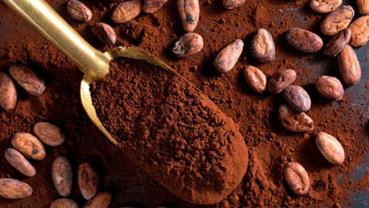 Cooking Tips কোকো পাউডারকে অনেকদিন পর্যন্ত স্টোর করে রাখবেন কীভাবে