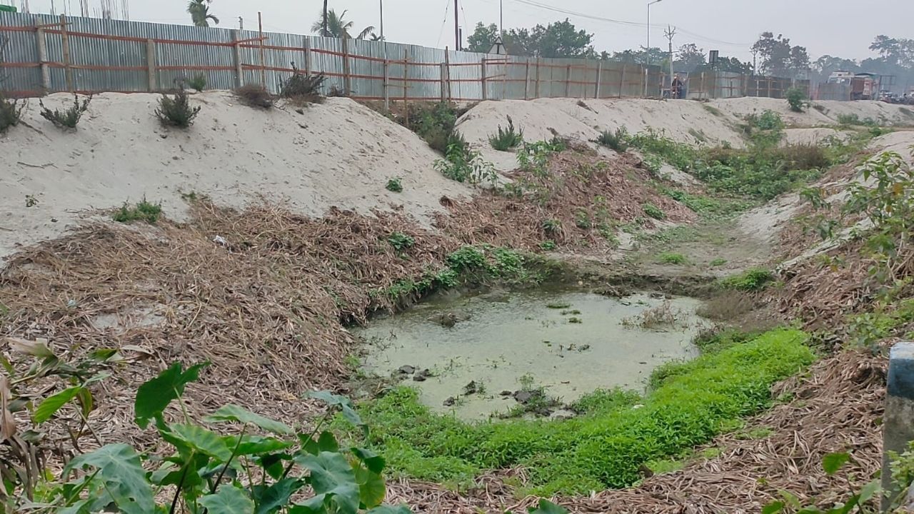 Land filling: বারণ সত্ত্বেও পাত্তা দিচ্ছে না কেউ, খোদ মুখ্যমন্ত্রীর সফরকালেই মাফিয়ারা চালাচ্ছে জমি ভরাটের কাজ