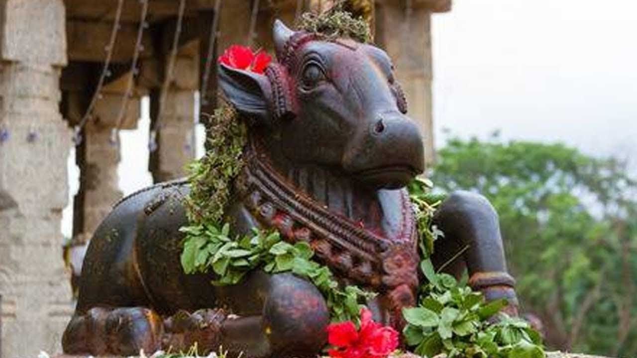 Nandi Gayatri Mantra: দেহ-মন শুদ্ধি করতে সূর্যোদয়ের আগে পাঠ করুন নন্দী গায়ত্রী মন্ত্র! উপকারিতা ও গুরুত্ব জানুন Nandi Gayatri Mantra: দেহ-মন শুদ্ধি করতে সূর্যোদয়ের আগে পাঠ করুন নন্দী গায়ত্রী মন্ত্র! উপকারিতা ও গুরুত্ব জানুন
