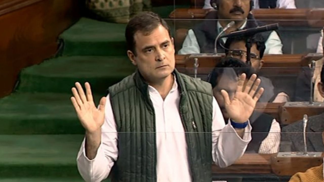 Rahul Gandhi on PM Modi Speech: 'প্রধানমন্ত্রীর সার্টিফিকেট লাগবে না', নেহরু প্রসঙ্গে জবাব দিলেন রাহুল