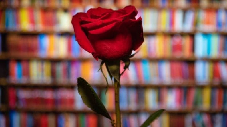 ঊনবিংশ শতাব্দীর ভিক্টোরিয়ান যুগে, প্রেমিক-প্রেমিকারা ফ্লোরিওগ্রাফি বা 'ফুলের ভাষা' ব্যবহার করে একে অপরের কাছে গোপন বার্তা পাঠাতেন, যা টুসি-মুসি বা নোজগেস নামে পরিচিত। এই অনন্য ফুলের অভিধানে, লাল গোলাপ প্রেম, আবেগ, রোম্যান্স এবং ভক্তির প্রতীক। এটি শুধু গর্বের সঙ্গে "আমি তোমাকে ভালবাসি" বলার জন্য ব্যবহৃত হয়েছিল, বিশেষত এমন এক সময়ে যখন এই ধরনের অনুভূতির মৌখিক অভিব্যক্তি সামাজিকভাবে অনুপযুক্ত বলে মনে করা হত।  