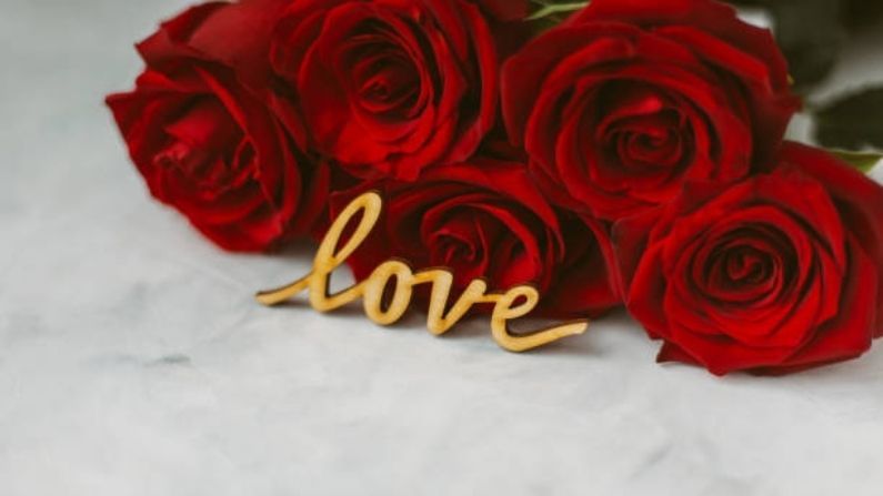 যদি সাহিত্যের কথা আলোচনা করা হয়, তাহলে পুনরায় ফিরে যেতে হয় শেক্সপিয়ারে। 'গোলাপ' শব্দটি শেক্সপিয়ারের ষোড়শ শতাব্দীর নাটক এবং সনেটগুলিতে সত্তরেরও বেশি বার লক্ষ্য করা যায় এবং এটি সেই ফুল যা তিনি সবচেয়ে বেশি উল্লেখ করেছেন তাঁর রচনায়। ভেনাস এবং অ্যাডোনিসের প্রথম লাইনগুলিতে, বার্ড তাঁর পুরুষ নায়ককে 'রোজ-চিকড' হিসাবে বর্ণনা করেছেন। এটি যদিও সেই গ্রিক পৌরাণিক কাহিনীকেই উল্লেখ করে। অন্যদিকে, রোমিও এবং জুলিয়েটেও উল্লেখ আছে লাল গোলাপের। যেখানে লেখা রয়েছে- “What’s in a name? That which we call a rose, by any other name would smell as sweet”. 