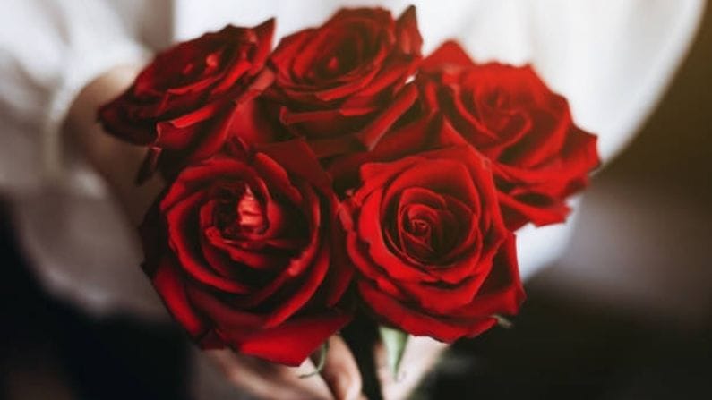 রোমের ইতিহাসেও খোঁজ মেলে লাল গোলাপের। রোমান যুগে লাল গোলাপ বেশ জনপ্রিয় ছিল। ওষুধ ও পারফিউম হিসাবে ব্যবহার করা হত গোলাপকে। এছাড়া নববিবাহিত দম্পতিরা গোলাপের মুকুট পরতেন এবং তাদের বিছানাগুলি গোলাপের পাপড়িতে আচ্ছাদিত করা হত। মনে করা হত, গোলাপের প্রেম এবং যৌন আকাঙ্ক্ষাকে সংযুক্ত করবে। 'সাব রোসা' বা 'গোলাপের নীচে' শব্দবন্ধটি, যার অর্থ 'গোপনীয়ভাবে', এটিও এই অতীত যুগেরই কথা। 