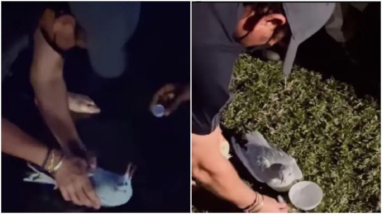 Viral Video: দরদিয়া সচিন! আহত পাখিকে দিলেন স্নেহের পরশ, 'মাস্টার ব্লাস্টার বলেই সম্ভব', কুর্নিশ নেটাগরিকদের Viral Video: দরদিয়া সচিন! আহত পাখিকে দিলেন স্নেহের পরশ, 'মাস্টার ব্লাস্টার বলেই সম্ভব', কুর্নিশ নেটাগরিকদের