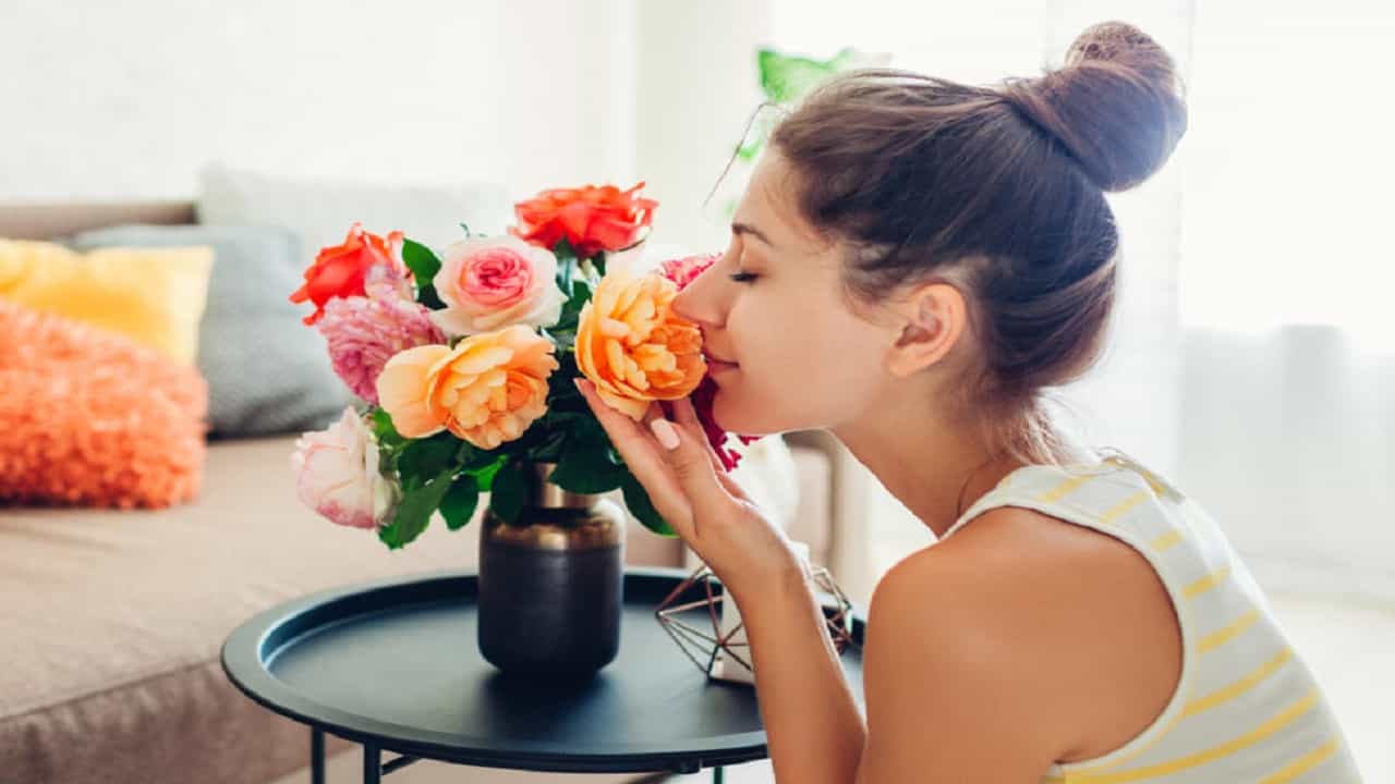 Sense Of Smell Of Humans: সময়ের সঙ্গে সঙ্গে ঘ্রাণশক্তি কমেছে মানুষের, নতুন গবেষণায় দাবি বিজ্ঞানীদের Sense Of Smell Of Humans: সময়ের সঙ্গে সঙ্গে ঘ্রাণশক্তি কমেছে মানুষের, নতুন গবেষণায় দাবি বিজ্ঞানীদের