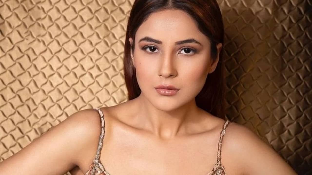 Shehnaaz Gill: ব্যবহারে আমূল পরিবর্তন! শেহনাজকে দেখে চিন্তায় ভক্তরাও