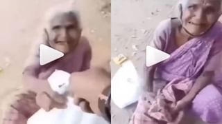 Viral Video: কাচের জানলায় চিতার থাবা, শিশুকে তুলে নিয়ে যাওয়ার চেষ্টা… তারপর! দেখুন ভিডিয়ো