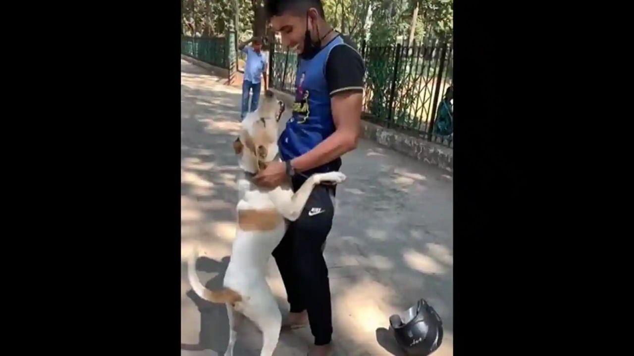 Viral Video: ট্যাক্সি করে ফিরল নিখোঁজ পথকুকুর, স্বাগত জানাতে গোটা পাড়ায় সাজো সাজো রব! Viral Video: ট্যাক্সি করে ফিরল নিখোঁজ পথকুকুর, স্বাগত জানাতে গোটা পাড়ায় সাজো সাজো রব!