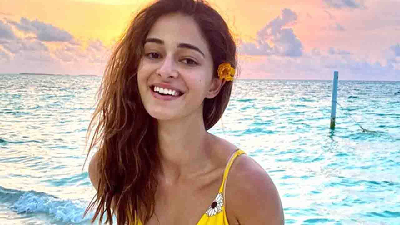 Gehraiyaan-Ananya Pandey: প্রমাণ করলেন অনন্যা, সমালোচকদের মুখে আজ কেবলই প্রশংসা