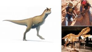 Armless Dinosaurs: হাত ছাড়া ডায়নোসর! নতুন প্রজাতির ডায়নোসরের জীবাশ্ম খুঁজে পেলেন বিজ্ঞানীরা