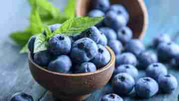 Health Benefits of Blueberries: ডায়াবেটিস ও হার্টের রুগীদের জন্য সুপারফুড! রইল ব্লুবেরিজের ৫টি গুরুত্বপূর্ণ গুণাবলী