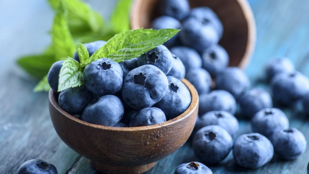 Health Benefits of Blueberries: ডায়াবেটিস ও হার্টের রুগীদের জন্য 'সুপারফুড'! রইল ব্লুবেরিজের ৫টি গুরুত্বপূর্ণ গুণাবলী