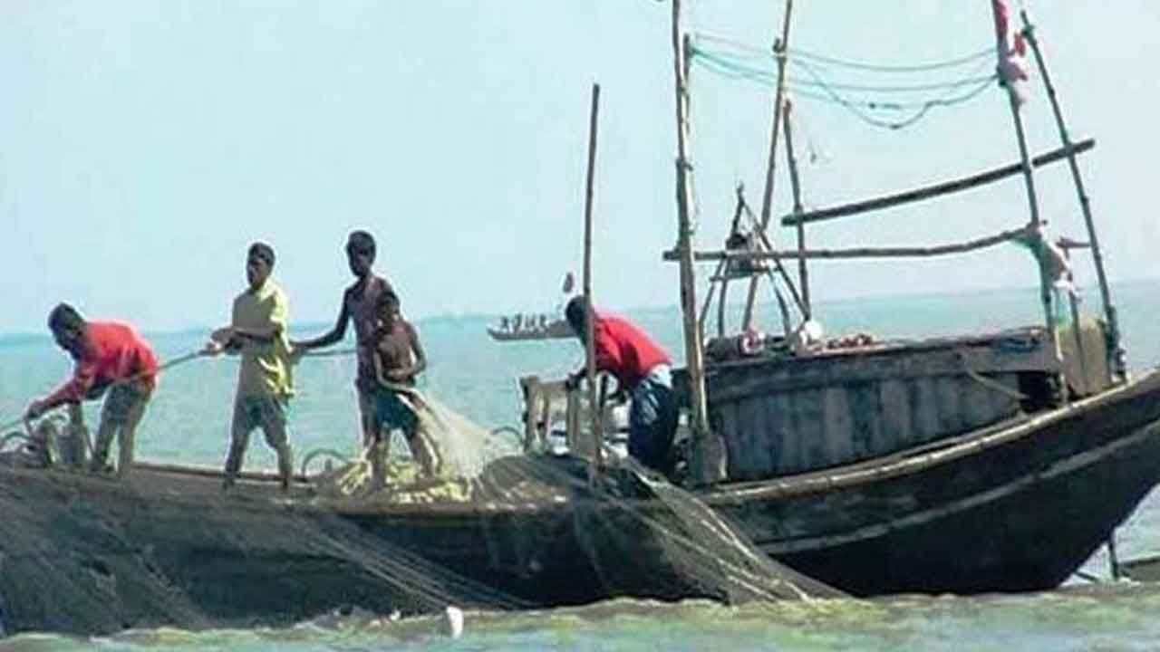 আড়তের কর্মীদের দাবি, এই মাছ বিদেশে রফতানি হয়। এমনকি তেলে ভোলা মাছের পটকা থেকে জীবনদায়ী ওষুধ তৈরি হয়। আর সেই কারণেই এই মাছের দাম এত বেশি।