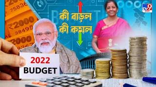 Budget 2022: মনের খবর রাখতে নয়া উদ্যোগ! তৈরি হবে ‘টেলি মেন্টাল হেল্থ সেন্টার’