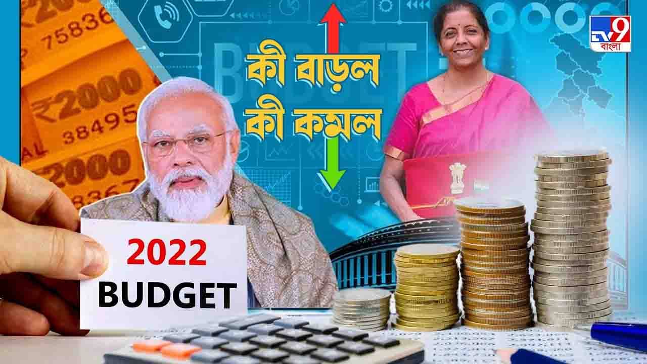 Budget 2022: সস্তা ছাতা-জুতো-গয়না-মোবাইল, দাম বাড়ল ভোজ্য তেল আর মদের