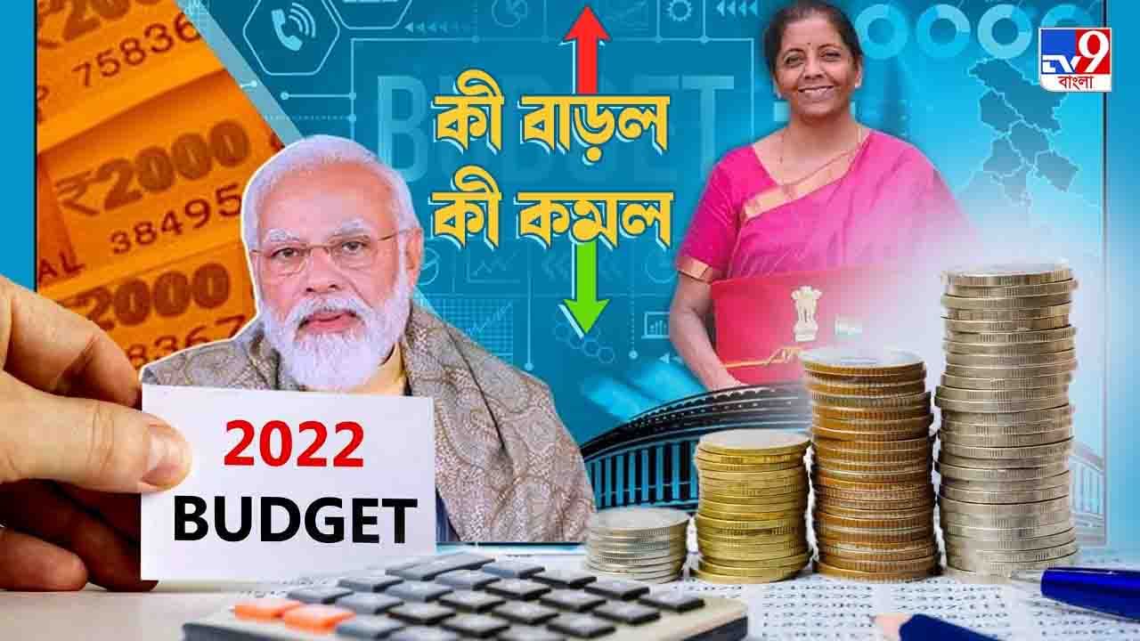 Budget 2022: সস্তা ছাতা-জুতো-গয়না-মোবাইল, দাম বাড়ল ভোজ্য তেল আর মদের
