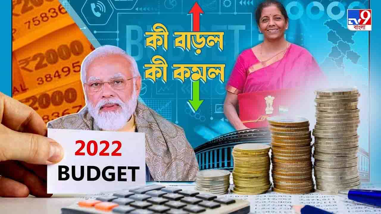 Budget 2022: সস্তা ছাতা-জুতো-গয়না-মোবাইল, দাম বাড়ল ভোজ্য তেল আর মদের Budget 2022: সস্তা ছাতা-জুতো-গয়না-মোবাইল, দাম বাড়ল ভোজ্য তেল আর মদের
