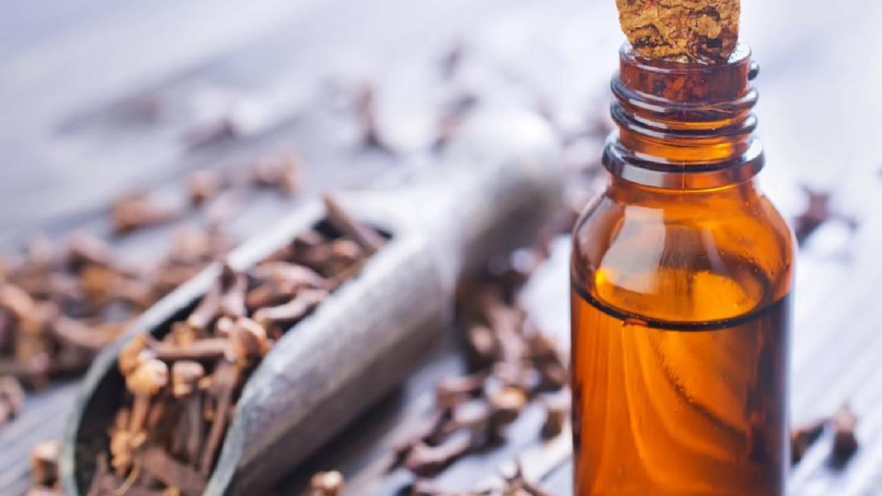 Clove Oil: বসন্তের রূপকথায় সঙ্গী হোক লবঙ্গ তেল! জেনে নিন একগুচ্ছ উপকারিতা