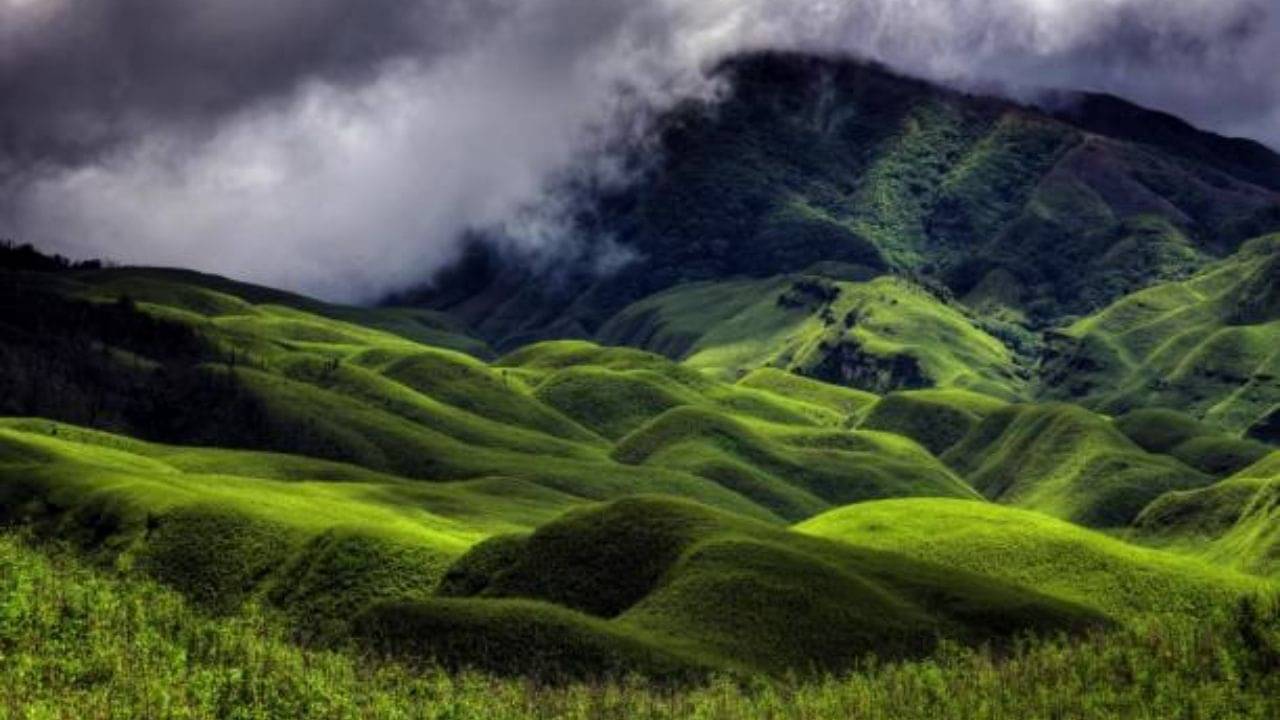 Dzukou Valley: স্বর্গের মত সবুজ ঘাস দিয়ে সাজানো উপত্যকা জুকু! এখানে ট্রেক করতে যাবেন নাকি?
