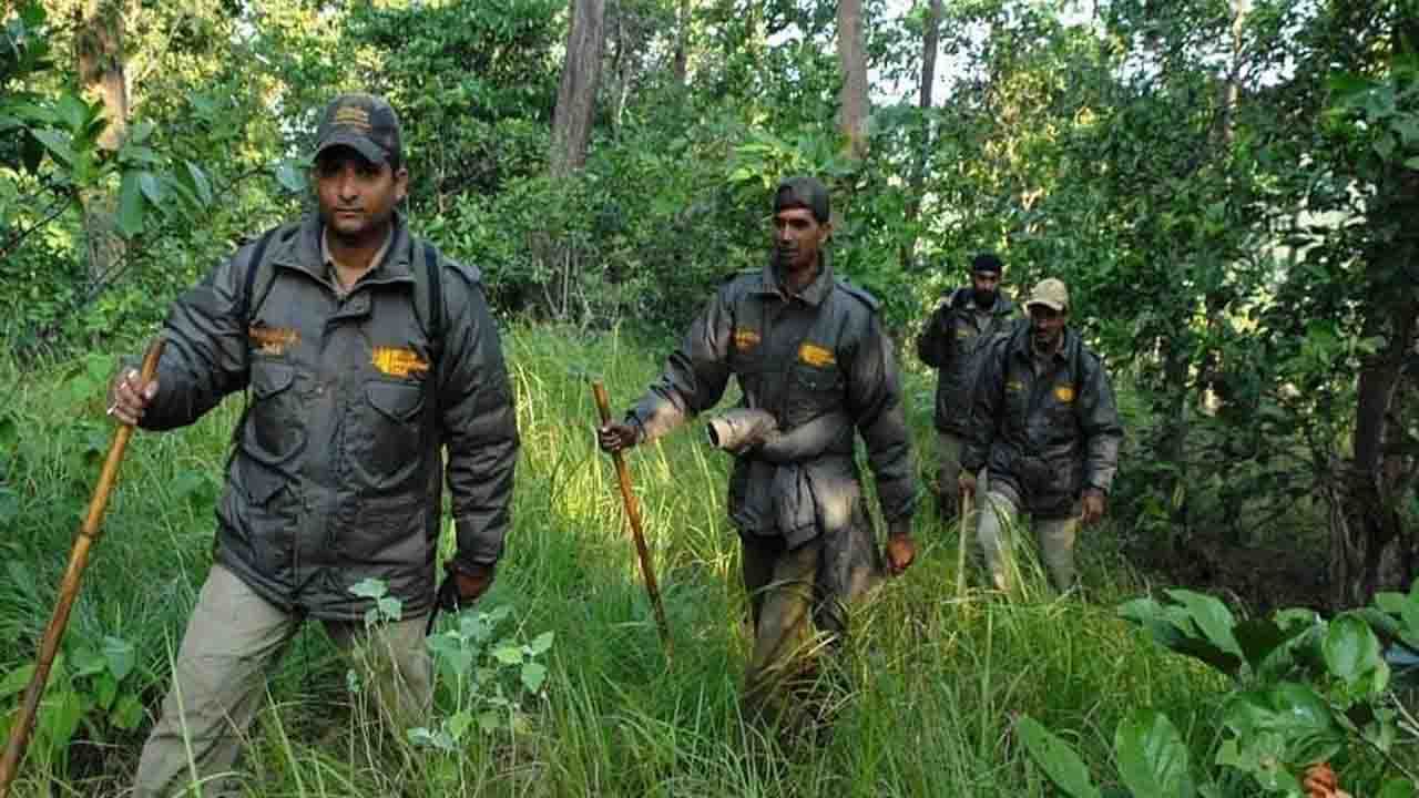 West Bengal Job: সারা দেশে বন দফতরে বিপুল কর্মী নিয়োগ, জানুন কীভাবে করবেন আবেদন