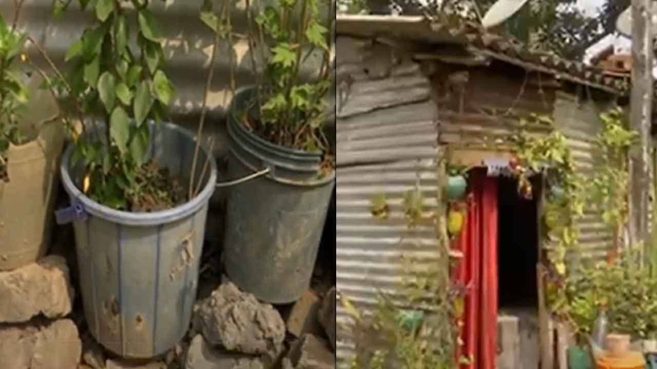 Kasba Bomb Recovered: জল দেওয়ার সময়ে ফুলের টবে দেখেছিলেন সেই জিনিস! বিভীষিকায় বাকরুদ্ধ গৃহকর্তা