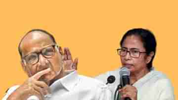 Mamata Banerjee-Sharad Pawar: আমার জায়গায় থাকলে আপনি কী করতেন?, নবাবের গ্রেফতারি নিয়ে মমতার মতামত জানতে চাইলেন শরদ