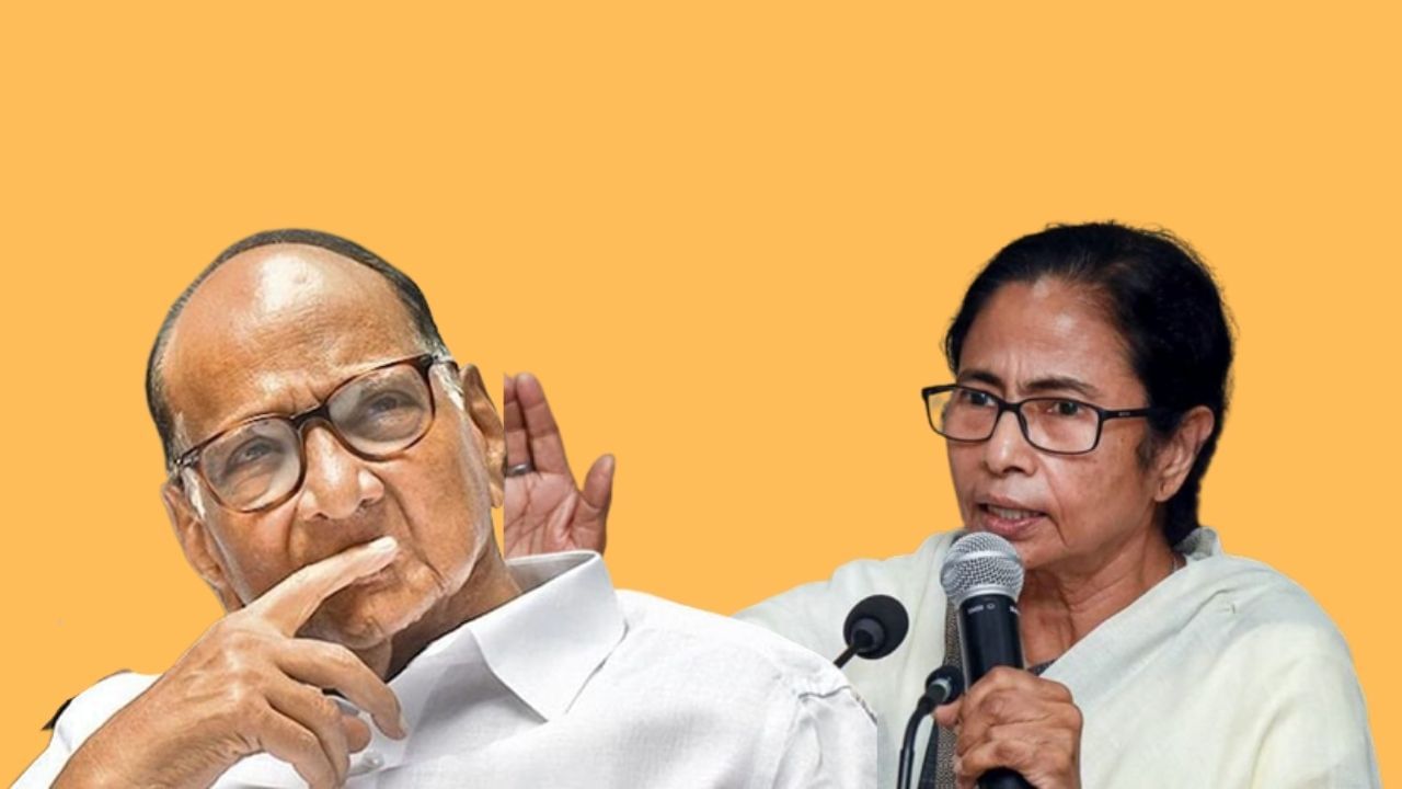 Mamata Banerjee-Sharad Pawar: 'আমার জায়গায় থাকলে আপনি কী করতেন?', নবাবের গ্রেফতারি নিয়ে মমতার মতামত জানতে চাইলেন শরদ Mamata Banerjee-Sharad Pawar: 'আমার জায়গায় থাকলে আপনি কী করতেন?', নবাবের গ্রেফতারি নিয়ে মমতার মতামত জানতে চাইলেন শরদ