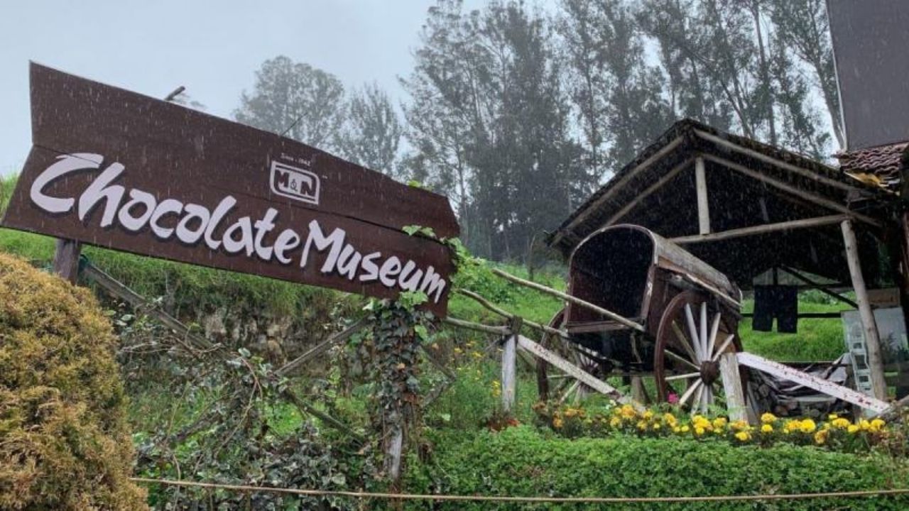 Chocolate Museum: নীলগিরির কোলে রয়েছে চকোলেট প্রেমীদের স্বর্গরাজ্য! প্রেমের দিবস উদযাপন করতে যাবেন নাকি সেখানে?