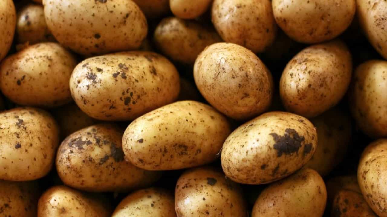 Potato: আলু খেলে কি সত্যিই ওজন কমে? বিশেষজ্ঞরা কী বলছেন, জানুন...