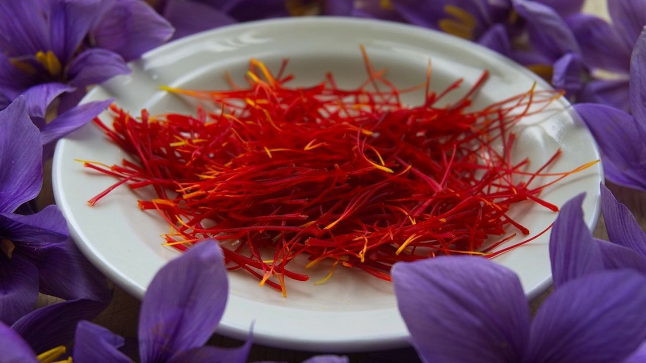 Saffron Face Pack: সুন্দর ত্বকের জন্য কয়েকটি টুকরো কেশরই যথেষ্ট! কীভাবে ব্যবহার করবেন, জানুন