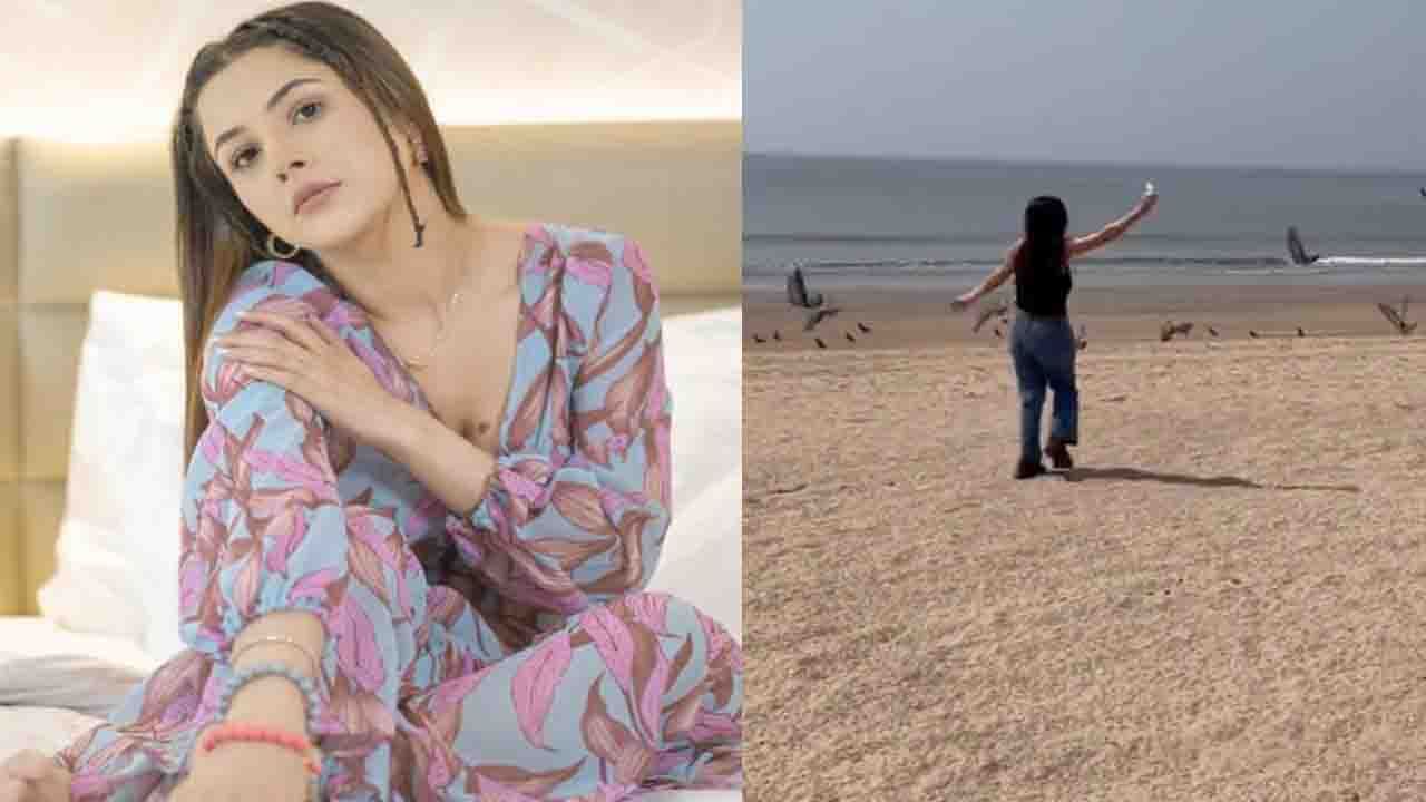 Shehnaaz Gill: যদি ডানা মেলে উড়তে পারতাম: শেহনাজ় গিল