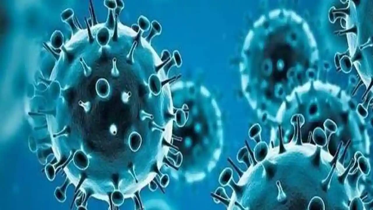 Omicron Subvariant: কেন ওমিক্রনের সাব ভ্যারিয়েন্ট BA.2 এত দ্রুত সংক্রমিত হচ্ছে?