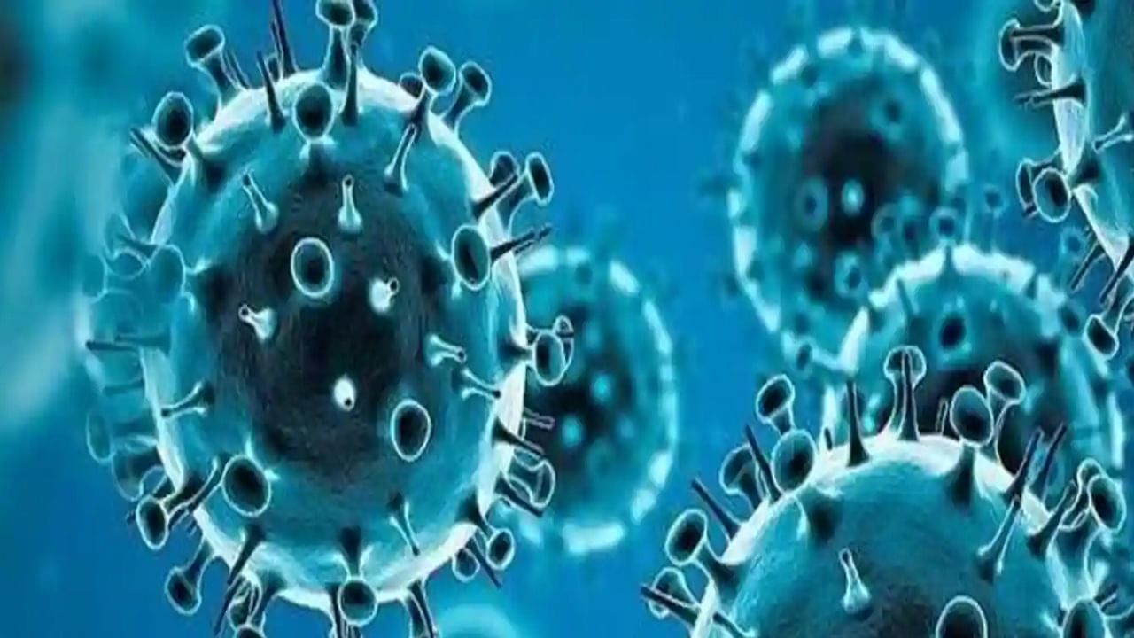 Omicron Subvariant: কেন ওমিক্রনের সাব ভ্যারিয়েন্ট BA.2 এত দ্রুত সংক্রমিত হচ্ছে? Omicron Subvariant: কেন ওমিক্রনের সাব ভ্যারিয়েন্ট BA.2 এত দ্রুত সংক্রমিত হচ্ছে?