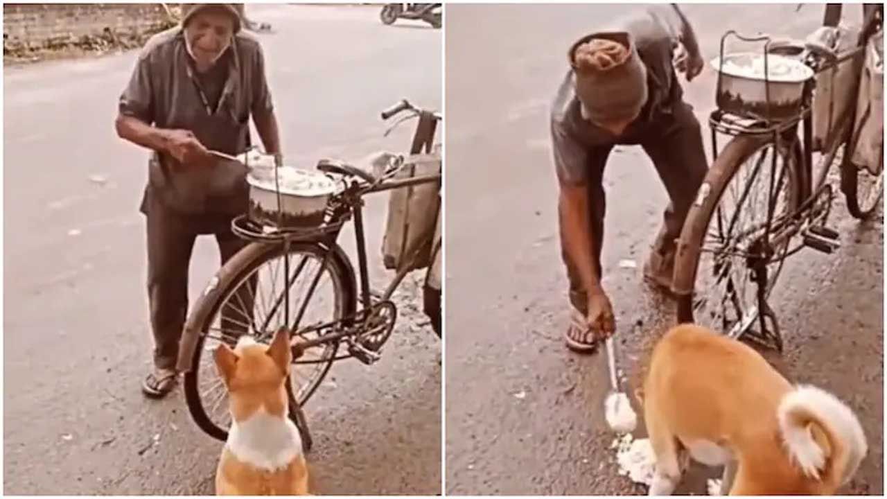 Viral Video: পথের কুকুরকে যত্ন করে ভাত খাওয়াচ্ছেন বৃদ্ধ, ভাইরাল ভিডিয়ো মনজয় করল নেটিজ়েনদের