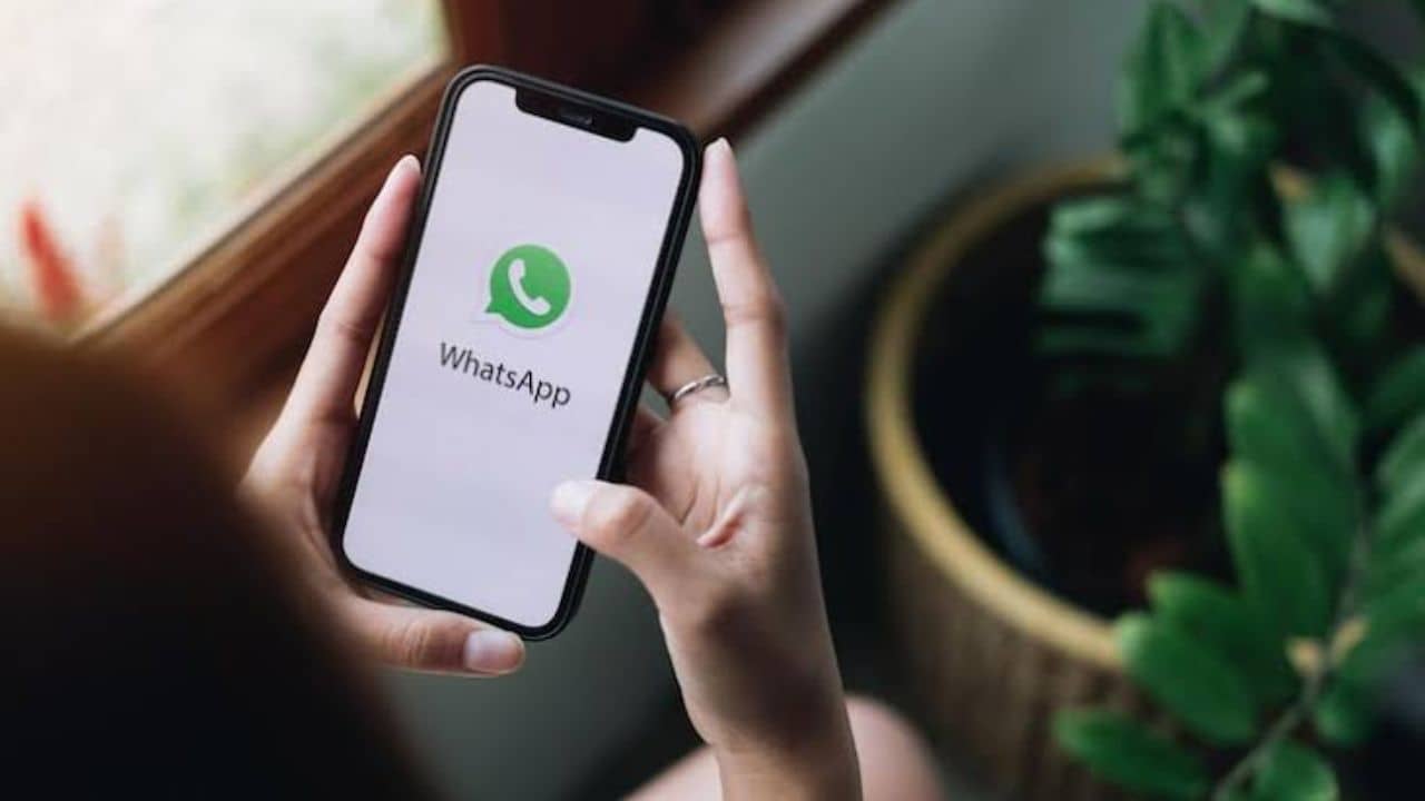 WhatsApp: হোয়াটসঅ্যাপে ব্লক হয়েছেন? ওই নম্বরেই কীভাবে মেসেজ পাঠাবেন... জেনে নিন সহজ পদ্ধতি