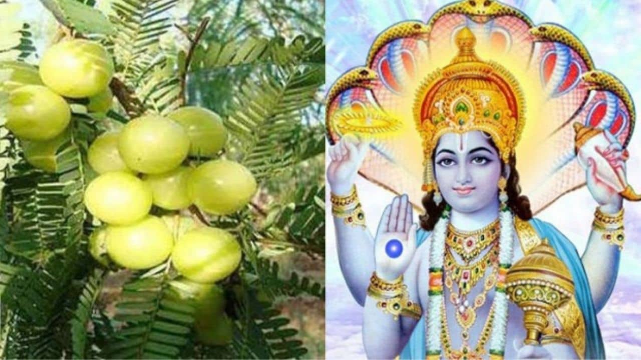 Amalaki Ekadashi 2022: হোলির দিন এই ব্রত পালন করলে বিশ্বকে পরিচালনা করার ক্ষমতাপ্রাপ্ত হয়! জানতেন আগে?