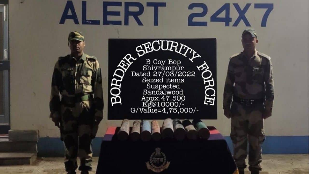 Balurghat Trafficking: নজর এড়ালো না বিএসএফের, পাচারের আগেই উদ্ধার ৫ লাখের চন্দন কাঠ