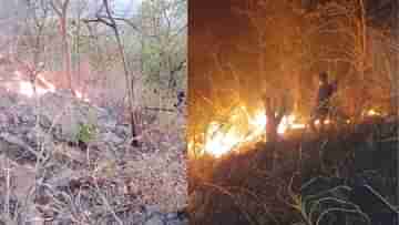 Wild Fire Bankura: এখনও জ্বলছে শুশুনিয়া, পরিবেশ নিয়ে আতঙ্কিত এলাকাবাসী