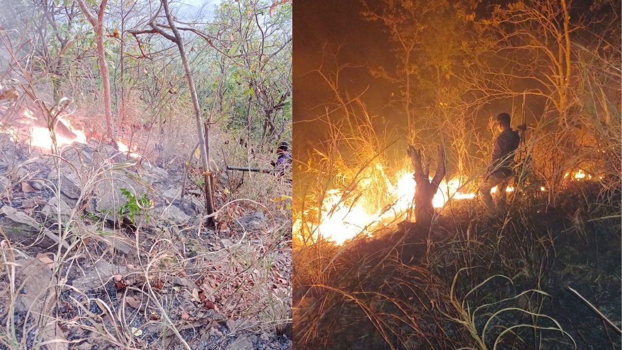 Wild Fire Bankura: এখনও জ্বলছে শুশুনিয়া, পরিবেশ নিয়ে আতঙ্কিত এলাকাবাসী