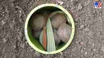 Bomb recovered in Birbhum: একটা দেশ উড়ে যাবে, ৪ দিনে ৪০০-র বেশি বোমা উদ্ধার বীরভূমে