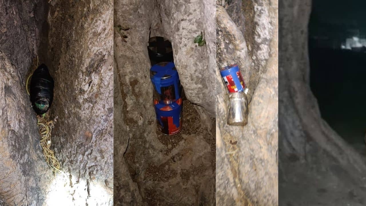 Bomb Recover: গাছের কোটরে পাখি নয়, বোমা! মাথায় হাত খোদ পুলিশের