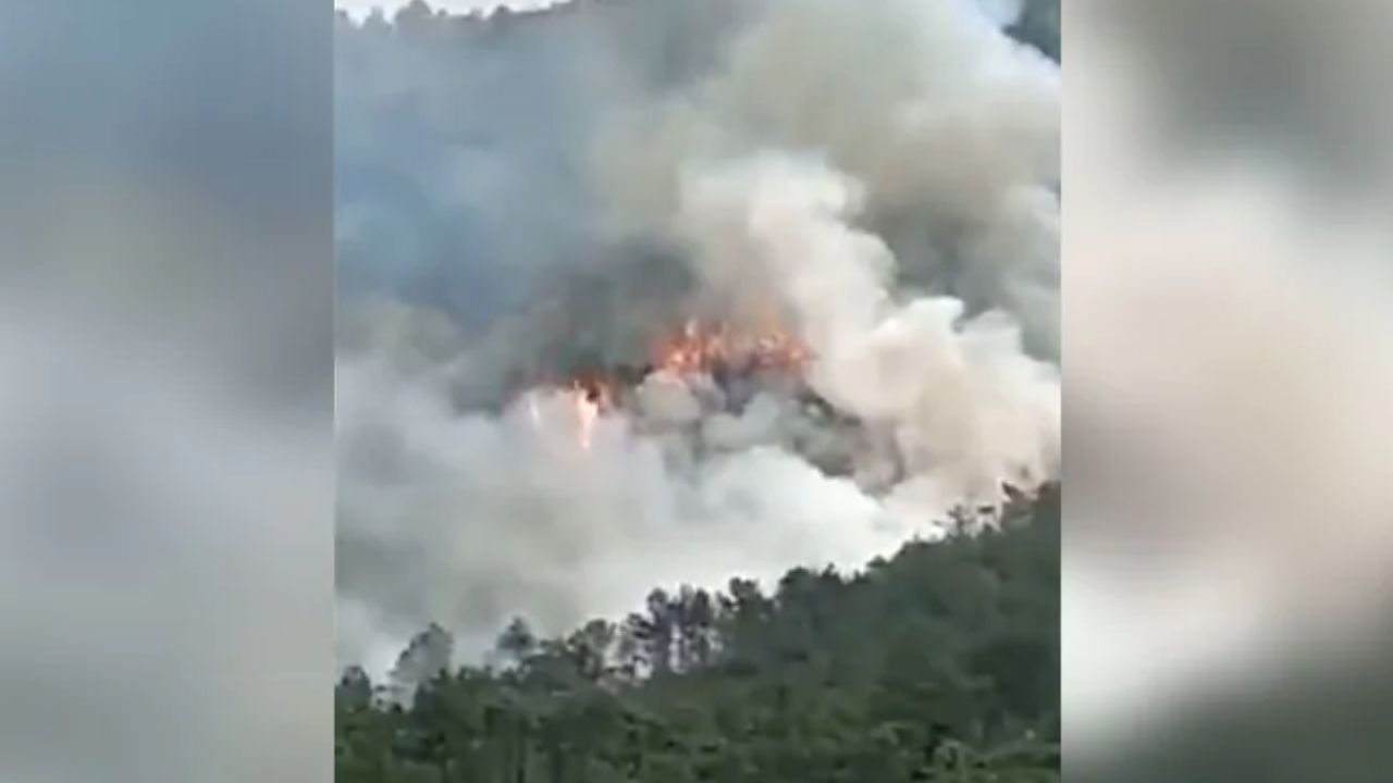 Plane Crash in China: শতাধিক যাত্রী নিয়ে দক্ষিণ চিনে ভেঙে পড়ল বিমান, দুর্ঘটনার মুহূর্তের ভিডিয়ো দেখে নিন